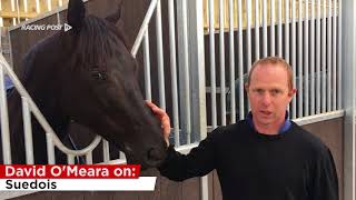 Stable Tour: David O'Meara screenshot 4