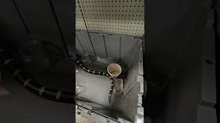 Something You Never Want To See At The Goodwill Outlet Bins