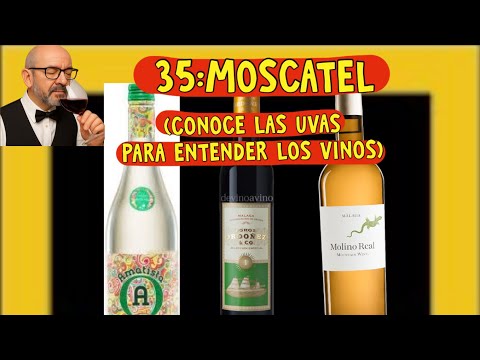(427)35:MOSCATEL