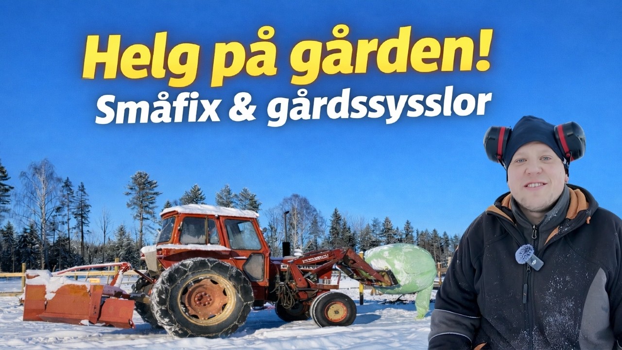 Tar helgen som den kommer & gör lite gårdssysslor