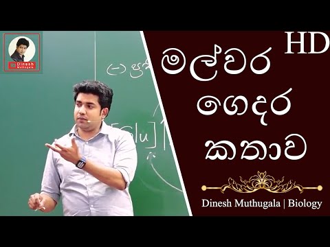 කොටහළු ගෙදර වෙච්ච දේ | මුතුගල සර් ගෙ ප්‍රජනනය පාඩමේ ආතල් | Only Jokes #dineshmuthugala #muthugalasir