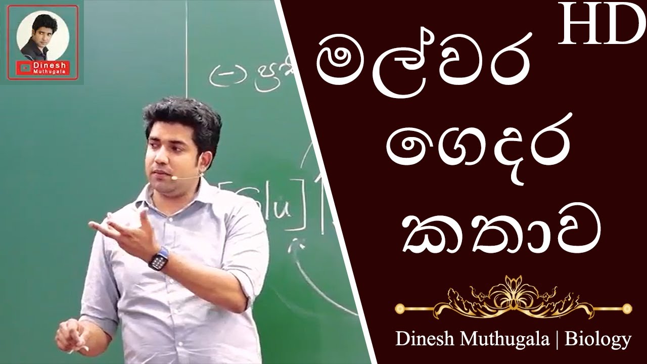 කොටහළු ගෙදර වෙච්ච දේ | මුතුගල සර් ගෙ ප්‍රජනනය පාඩමේ ආතල් | Only Jokes 