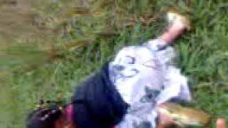 Parakan Ggirang - Paumahan