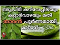 Tharan mudi kozhichil maran | Home remedy for hair fall and dandruff in malayalam tips | Prs kitchen