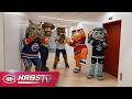 Mascots Take Over The Habs Offices 