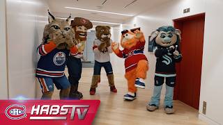 Mascots take over the Habs' offices