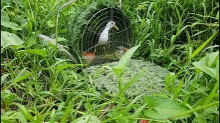 quốc moi ks Sóc Trăng ae xem tham khảo.