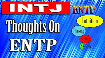INTJ thougths on the ENTP Personality Type