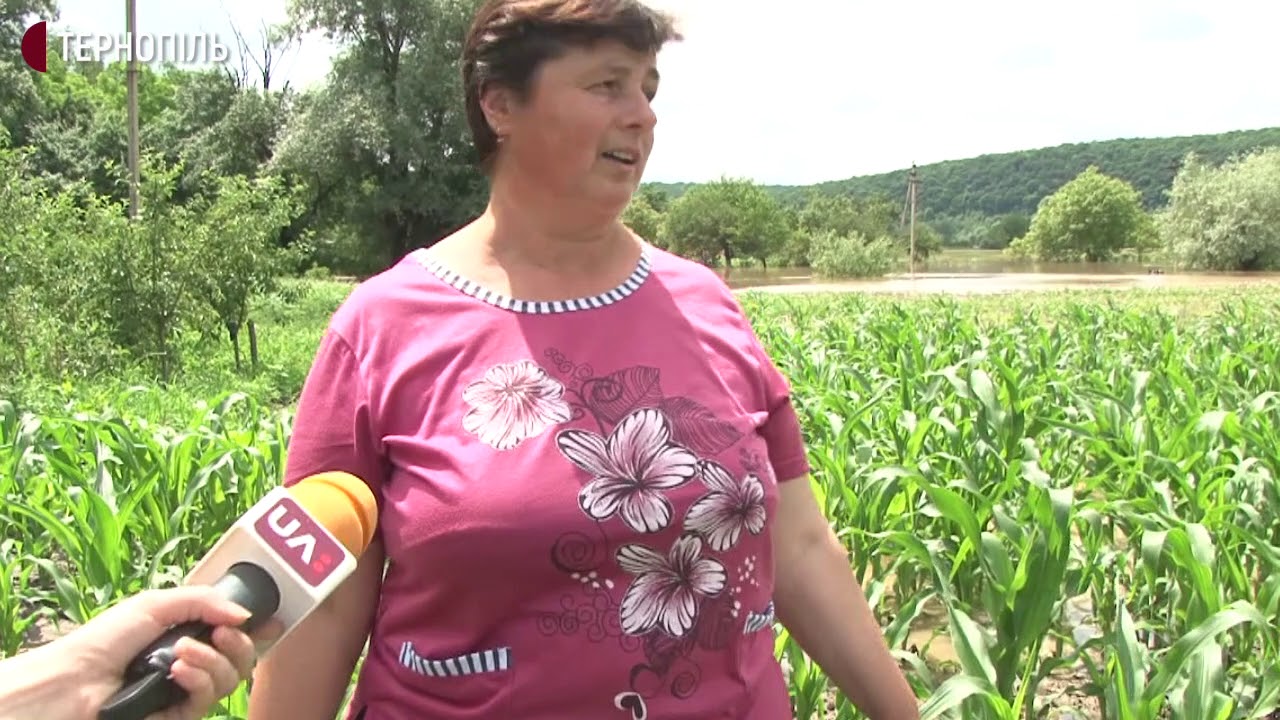 Через негоду підтопило село Вістря Монастириського району