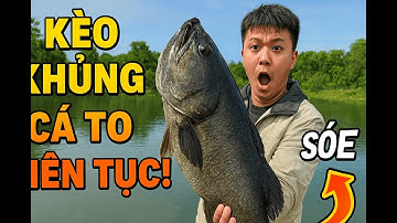 Câu Hồ Nhân Tạo Gặp Kèo Quá Khủng…Và Cái Kết Khiến Cả Hồ Sửng Sốt! 😳🎣 | Cá Lên Đi!