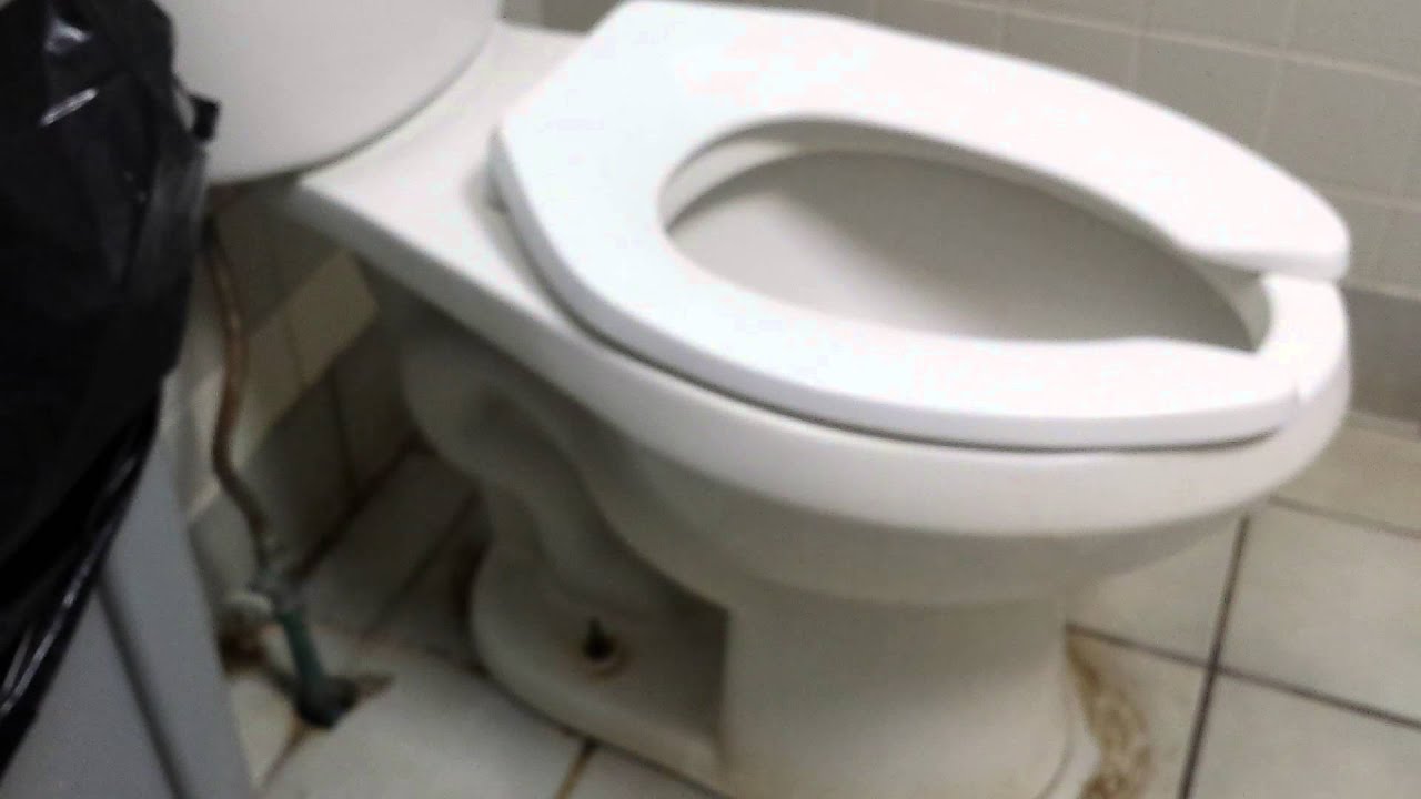 Bathroom Tour Toto Urinal and Jacuzzi Toilet at a gas station