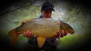 Carp Fishing Australia