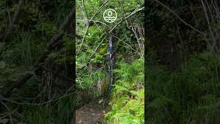 Spring of water flowing from the mountain with gentle flow sweet refreshing sound find inner peace