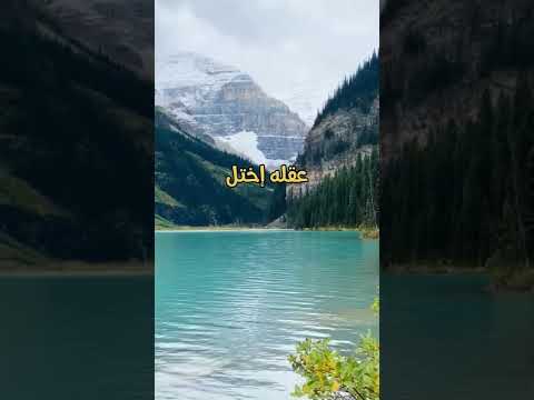 من إعتمد على ماله قل الشيخ عبد الحميد كشك حالات Shorts 