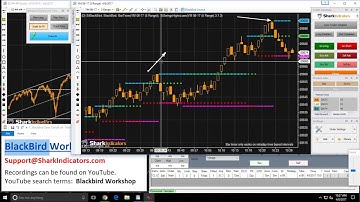 BlackBird Workshop - Quick Example of the Dynamic Planner