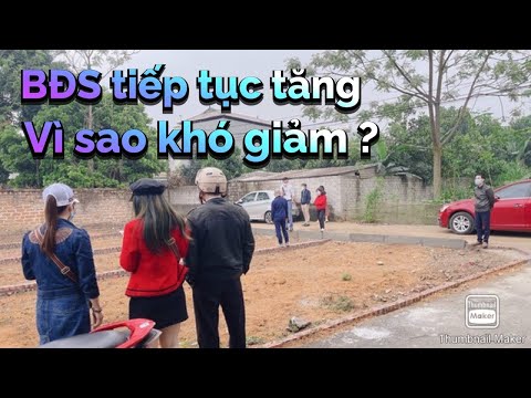 Bất động sản tiếp tục tăng chóng mặt – Vì sao khó đi xuống ?