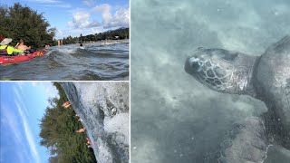 Kauai Hanalei river kayaking tour and snorkeling