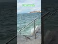 The Beauty Of Slovenia Followers Travel Enjoy Subscribe Subscribers Family The Beauty Of Slovenia Followers Travel Enjoy Subscribe Subscribers Family