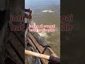 jaring ikan di sungai hasil melimpah