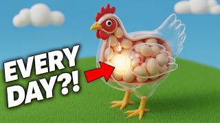 How Do Chickens Lay Eggs Almost Every Day?