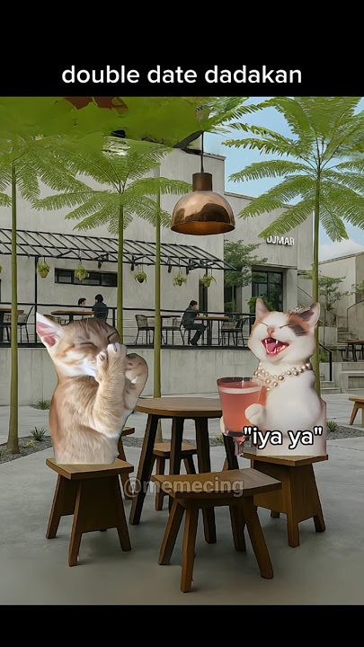 masing2 punya kelebihan😌 #meme #memekucing #kucing #kucinglucu #shorts #catlovers