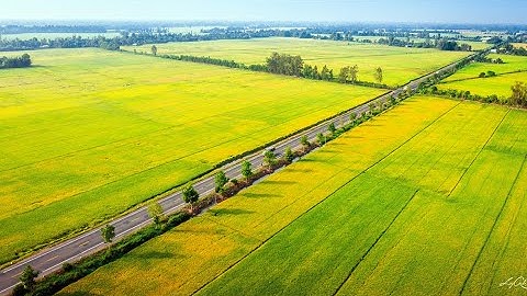 Quốc Lộ 61C tuyến đường huyết mạch nối Tỉnh Hậu Giang với Thành phố Cần Thơ