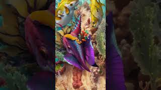 Autumn Space | AI video #shorts #ai #stablediffusion
