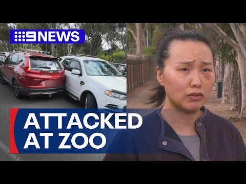 Grandmother and daughter attacked by stranger outside Melbourne Zoo | 9 News Australia