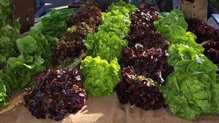 Ojai Certified Farmers' Market (Sunday, Feb 18 2018)