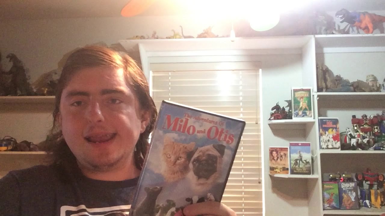 the adventures of milo and otis the adventures of milo and otis