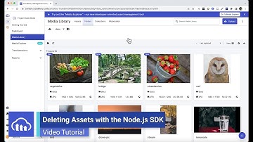 Deleting Assets with Cloudinary