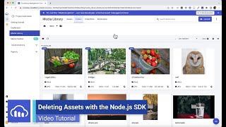 deleting assets with cloudinary's node.js sdk - cloudinary tutorial