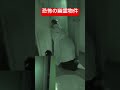 【心霊】恐怖の幽霊物件… #怪現象 #恐怖 #心霊 #事故物件 #ホラー #怪奇現象 #心霊スポット #horror