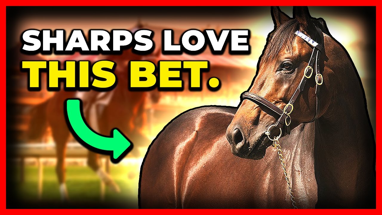 Saratoga Opening Weekend Picks: Underrated Horses You CANNOT Ignore | VSiN At The Track