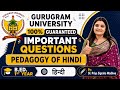Gurugram University Pedagogy of Hindi Most Important Questions | B.Ed. 1st Year | GU