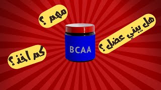 ما هو bcca ؟ وهل هو ضروري ؟ | الاحماض الامينية
