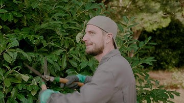 Google Home & Amazon Alexa für Loxone Smart Home / Präsentiert von 1Home & LoxHome24