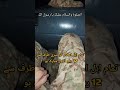 Ya Nabi Ya Nabi | Pak Army Video #army #pakistan #shorts #viral #fyp #islam#islamic#subscribe#unfrez