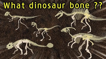 Dinosaur bone puzzle game | Find the dinosaur bones | What did the dinosaurs eat?|공룡의 뼈를 찾아라|딩동TV