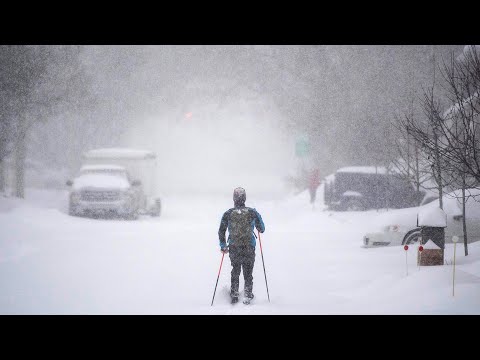 Record snowfall as Ottawa sees close to 50 cm during major blizzard