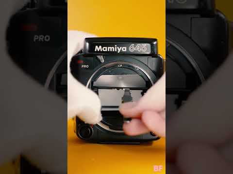 How To Change Mamiya 645 Focusing Screen Shorts