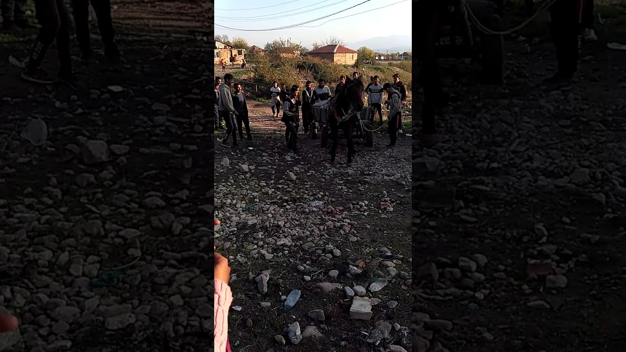 конете на Кърнаре (1)