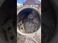 The Perfect Mix Cement Mixing Builder Building Brick Brickbuilder Landscape Patio