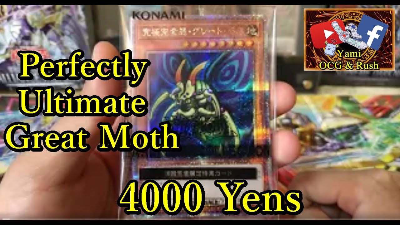 Perfectly Ultimate Insect Ganhando 5ª Perfectly Ultimate Great Moth – XJVTAS