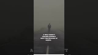 ~ A wolf doesn’t concern himself. 🎯#growth #mindset #hustle