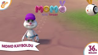 Akıllı Tavşan Momo_ 36_ Bölüm  Momo Kayboldu  Çizgi filim Cartoon Animasyon