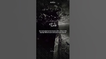 سورة آل عمران ١٩٣ #محمد_صديق_المنشاوي