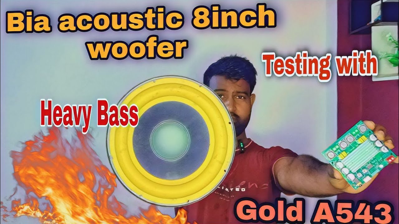 Bia acoustic speaker testing with gold 543 || gold a543 amplifier board || gold a543 board