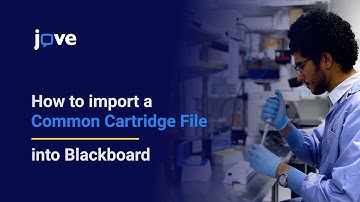 Tutorial: How to import a Common Cartridge File into Blackboard