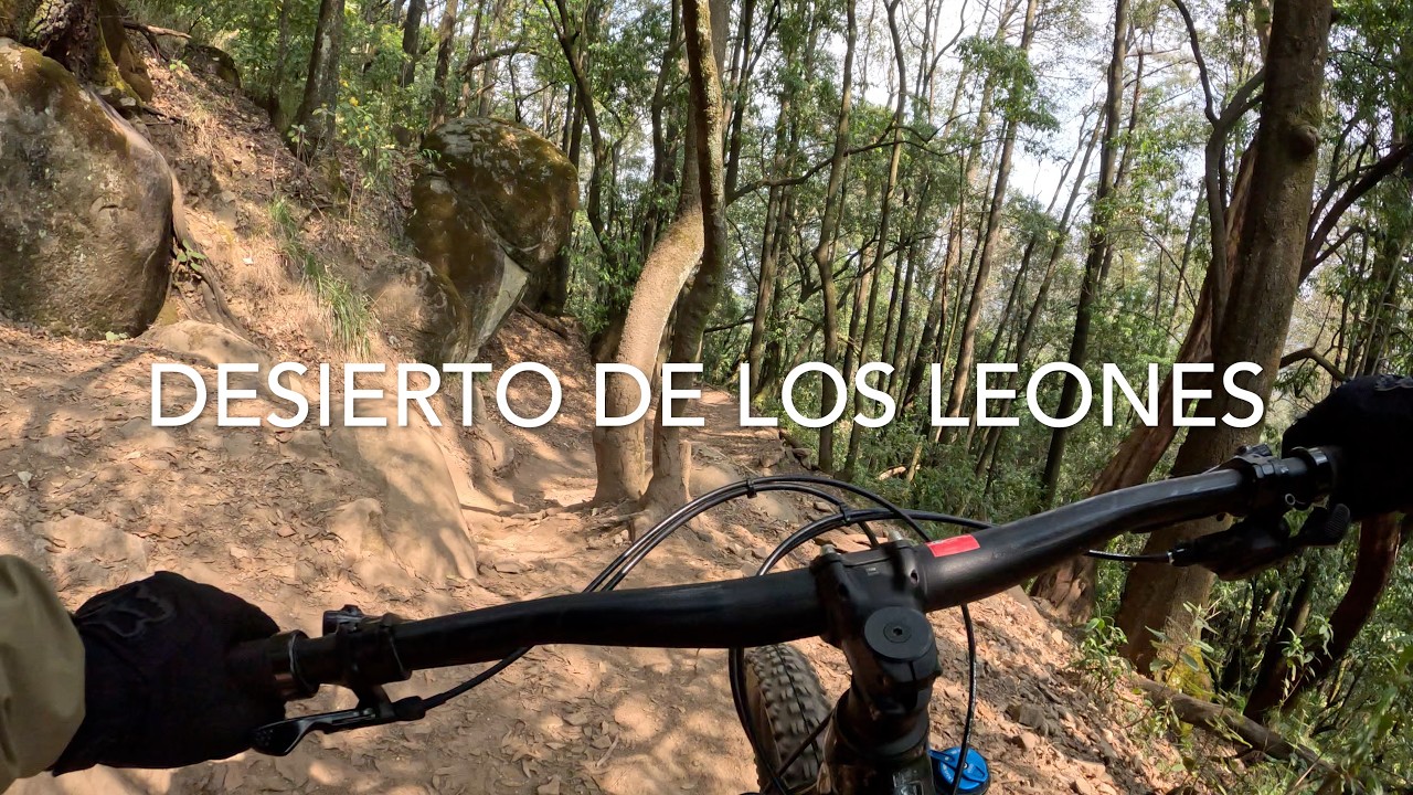 Desierto de los leones